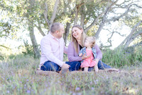 Woodward Family