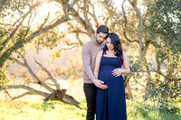 Anna Maternity